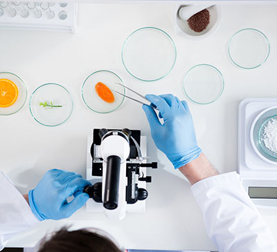 Global Betaine Market 2019-2023